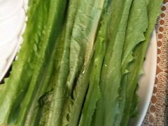 油麦菜-陶老爷城一锅羊蝎子(西四路店)