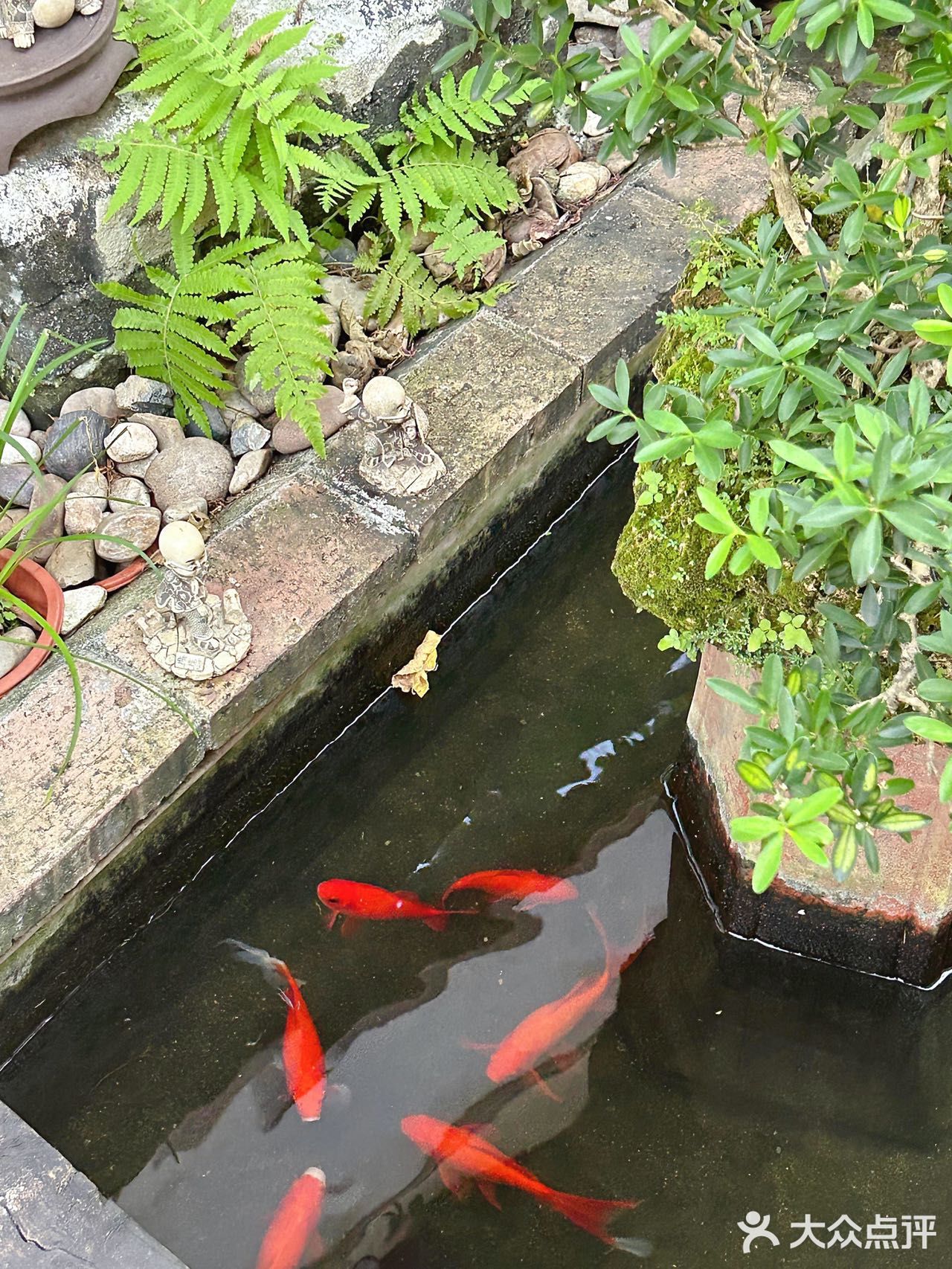 南庄这家宝藏私房菜,让我安利到了~