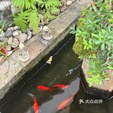 南庄这家宝藏私房菜,让我安利到了~