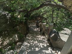 -崂山巨峰游览区