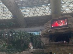 -杭州开元森泊度假乐园