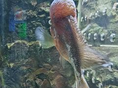 -石林冰雪海洋世界