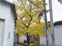 -雨花胜境