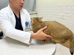 -美联众合动物医院·24h京西诊疗中心