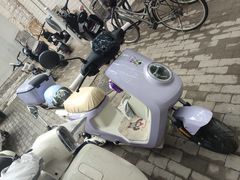 -小牛电动体验·租电动车(德胜门店)