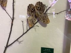 -陕西自然博物馆