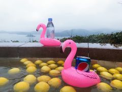 -天目湖涵田半山温泉