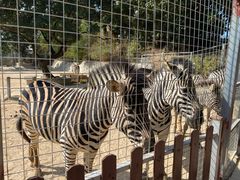 -泉州海丝野生动物世界