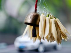 -朱洪元苏式面馆(绿宝广场店)