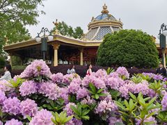 -Lotso Lunch Box 草莓熊餐盒