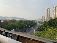 -福道