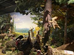 -陕西自然博物馆