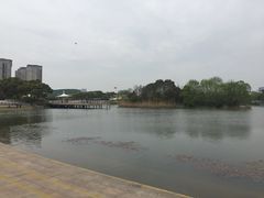 -新江湾城公园