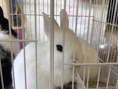 -双季花艺园艺市场(浦东店)