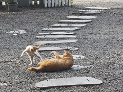 -长洲岛都市农业公园