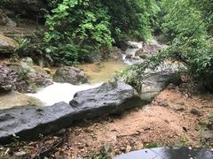 -南海湾森林生态园