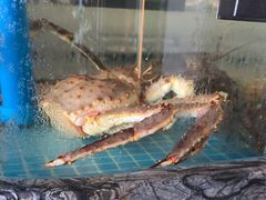 -百富源·海鲜辽菜(张士店)