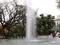 -九龙公园