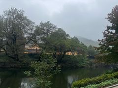 -冶父山国家森林公园