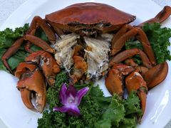 螃蟹-旅南活海鲜-屏东(墾丁海鮮，海鮮餐廳，墾丁團體合菜，平價熱炒，墾丁熱炒店，活海鮮推薦，在地海鮮餐廳)