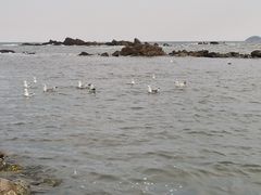 -鱼酷活鱼烤鱼(中联广场店)