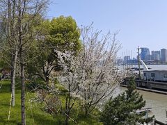 -北外滩滨江绿地