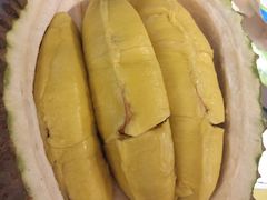 -都念榴莲·城市榴莲