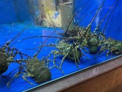 -骏丰酒楼(黄编店)