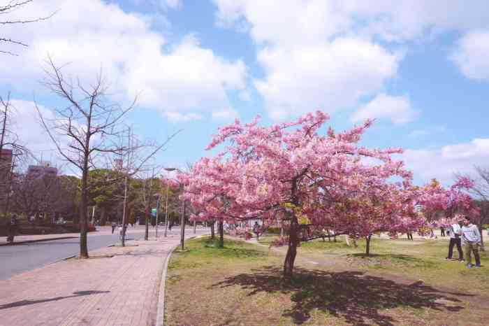 长居公园-"「日本之旅-公园」长居公园也是参观自然."-大众点评移动版