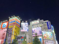 -Animate(秋叶原本馆)