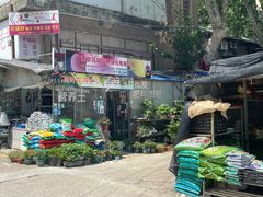 -金陵花卉交易市场