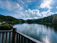 -庐山风景区花径公园