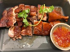 -美食小镇·观赏珍稀鸟类·长隆熊猫酒店
