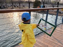 -东郊湿地公园