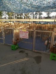 -萌宠亲子动物乐园(槐房万达店)