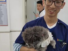 -派美特宠物医院·核磁CT·骨科肿瘤·疑难转诊(沈农禾丰店)