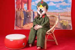 点击看大图 -童年时光专业儿童摄影(龙首店)