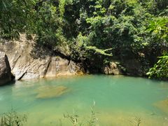 -广州白江湖森林公园