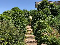 -国家植物园南园