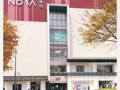 -岭南站NOVA