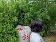-迎泽公园