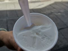 -洪馨椰子