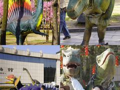 -中国西峡恐龙遗迹园