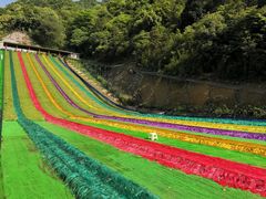 -梦幻奥陶纪景区