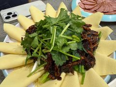 -黄牌鸡西刀削面·东北菜馆(深圳总店)