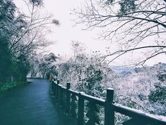 -四川农业大学(雅安校区)