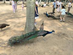 -秦皇岛野生动物园