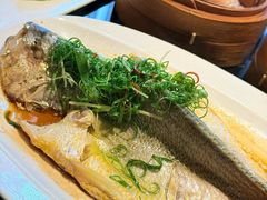 -正斗·港式粤菜(SKLP店)