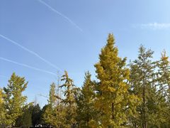 -汉长安城未央宫国家考古遗址公园