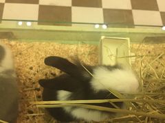 -龙猫仔乐园(惠福东路店)